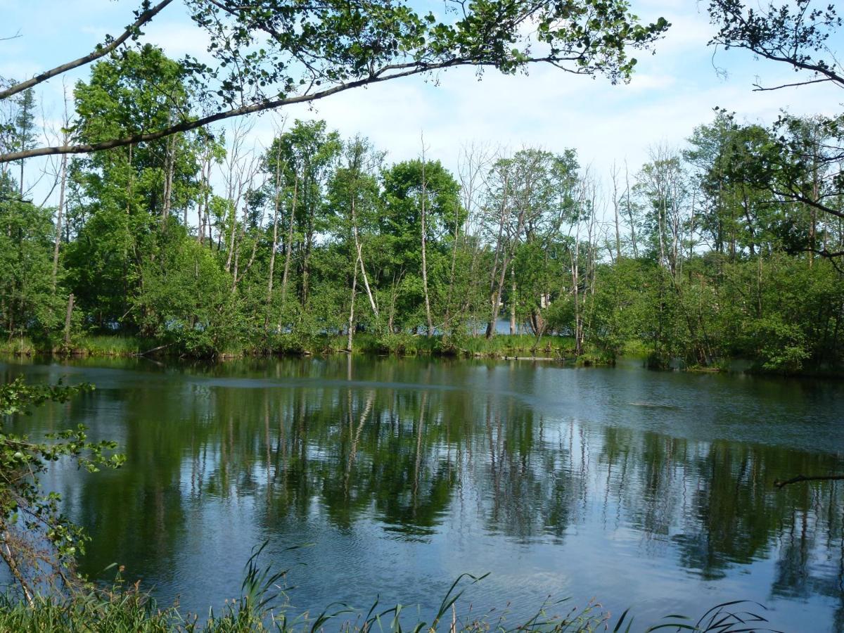 Seeblick Kemnitz Werder  Dış mekan fotoğraf
