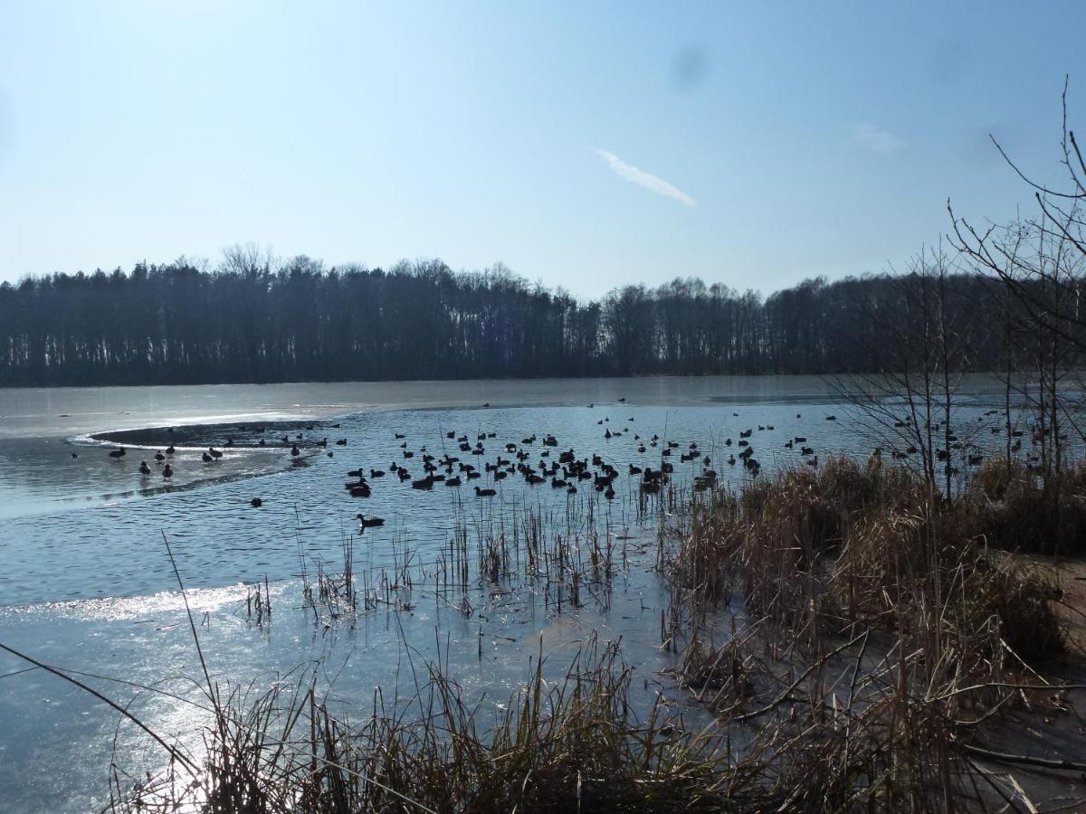 Seeblick Kemnitz Werder  Dış mekan fotoğraf